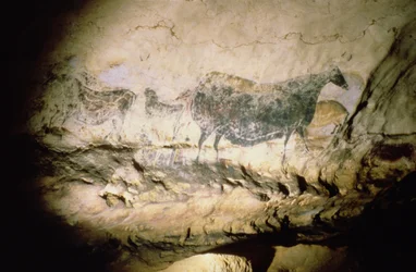 黒い牛の岩絵、紀元前17000年頃